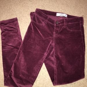Hollister Maroon Pants